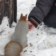 Татьяна Цыбульская