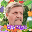 Александр Сорокин