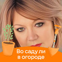 Марина Злоказова-Кузнецова