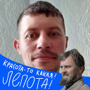 Сергей Никифоренко