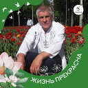 Алексей Куницкий