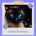 💖😸💝Светлана 💞😺💞