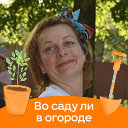 Ольга Куршина