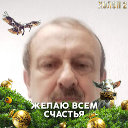 Владимир Шаршунов