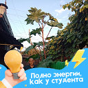 олег кононюк