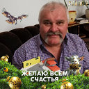 Анатолий Артеменко