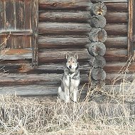 Яков Чернядьев