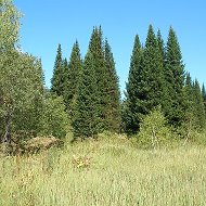 Лучизар Черданцев