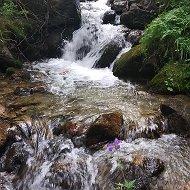 Наталья Пантелеева