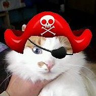 Злой Пиратище