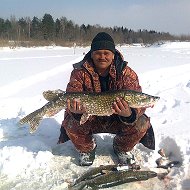 Валерий Волков