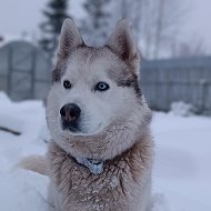 Сергей Куцкий