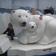 Белые Медведи