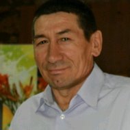 Дамир Гареев