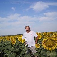 Александр Николаев