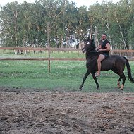 Андрей Польгун