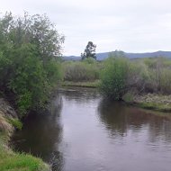 Александр Сергеевич