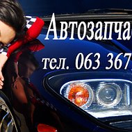 Авто Запчасти