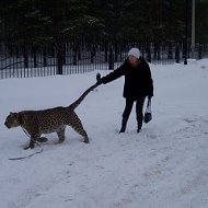 Ильмира Черемных