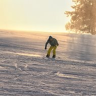 Алекс Ли