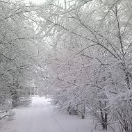 Евгения Уфимцева