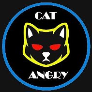 Engry Cat