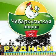 Чебаркульская Птица