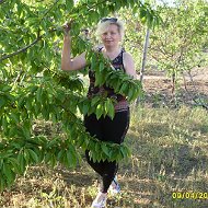 Елена Иванова