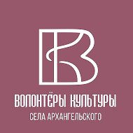 Волонтеры Культуры