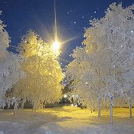 Светлана Курилович