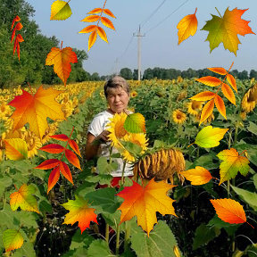 Фотография от Татьяна Ячменева (Бицук)