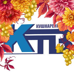 Фотография от Кушнаренково-ТВ Телеканал