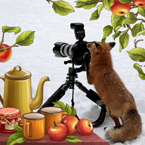 Фотография от MEGA FOX