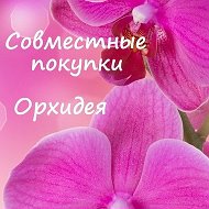 Орхидея Совместные