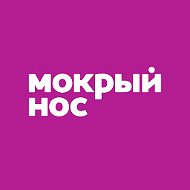 Мокрый Нос