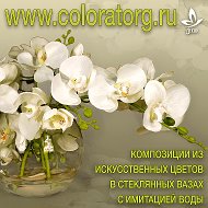 Colora Мастерская