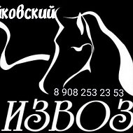 Чайковский Извоз