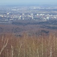 Денис Шарапов