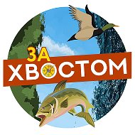 За Хвостоми