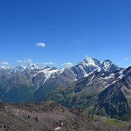 Алексей Курносов