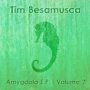 Tim Besamusca - Critical State Chillout Mix