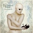 The Beautified Project - Stupid love song