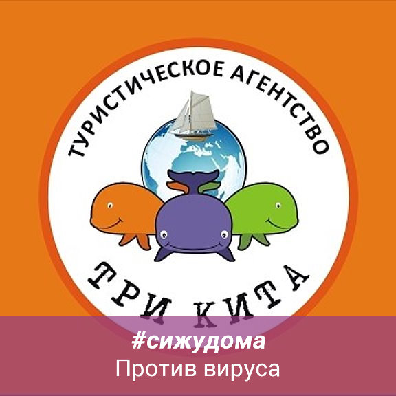 Три кита турфирма. Три кита турфирма. Три кита туроператор. Три кита в русском языке. Тур с китами.