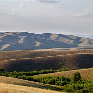 Элмурат Мырзабеков