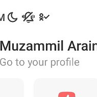 Muzammil Arain