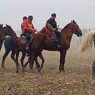 Серый Волк