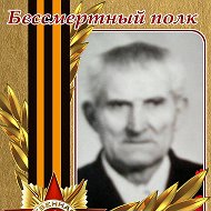 Николай Сапин