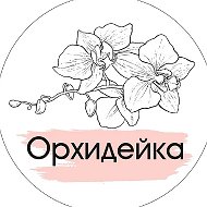 Орхидейка Новороссийск