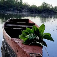 Светлана Пономарева