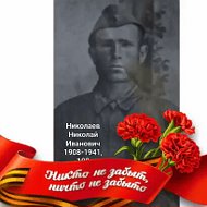 Владимир Николаев